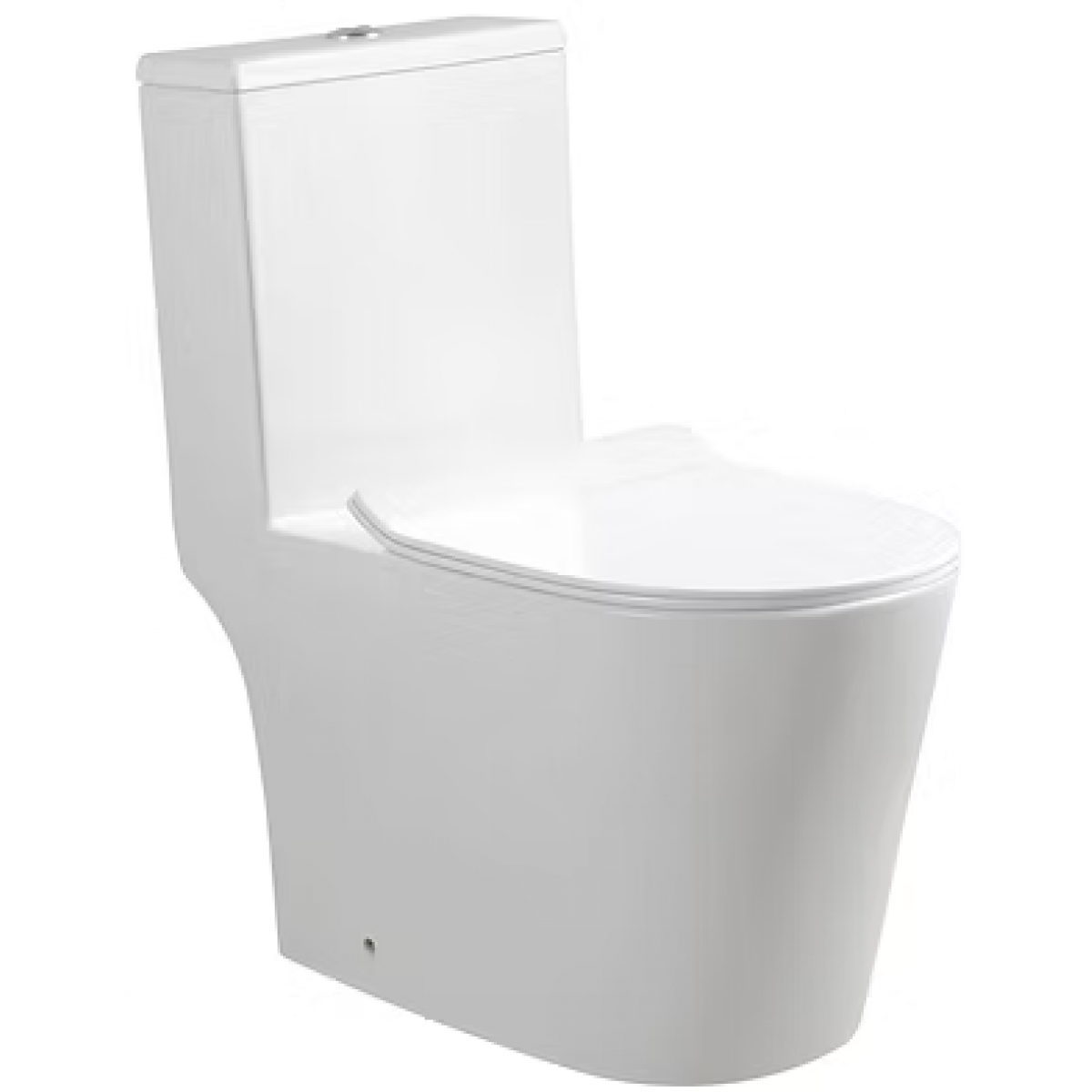 Richford R638 一體式自由咀座廁 - 單孔超旋沖水、節水雙檔、現代設計